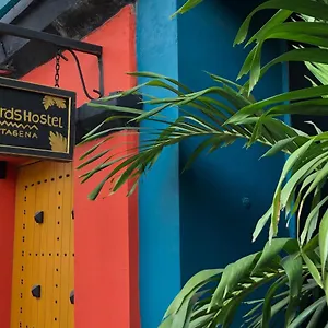 Pensión Birds, Cartagena